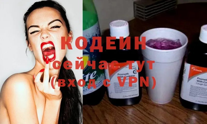 Кодеиновый сироп Lean Purple Drank  Раменское 